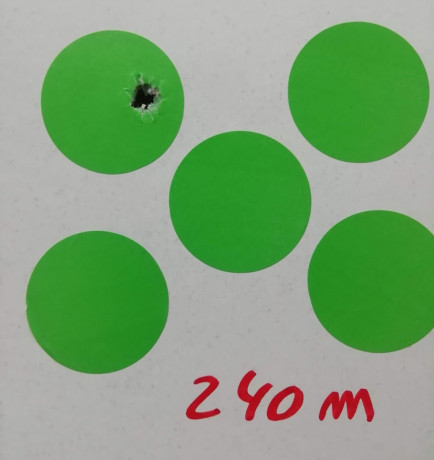 Un tema para hablar todo el verano como mínimo.

¿Qué puesta en tiro llevas en tu rifle de caza, para 21