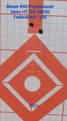 Un tema para hablar todo el verano como mínimo.

¿Qué puesta en tiro llevas en tu rifle de caza, para 131