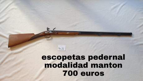 Escopeta pedernal modalidad mantón calibre 12 impecable
700€ 00