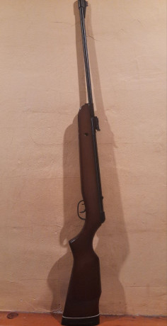 Hola a todos, tengo una Gamo Magnun 3000, estoy buscando repuestos para ella, pero me salen tres modelos.
¿Cómo 22