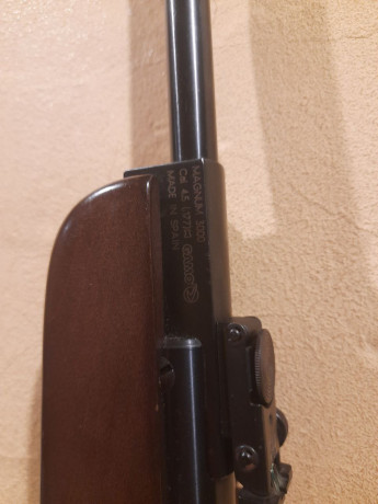 Hola a todos, tengo una Gamo Magnun 3000, estoy buscando repuestos para ella, pero me salen tres modelos.
¿Cómo 21
