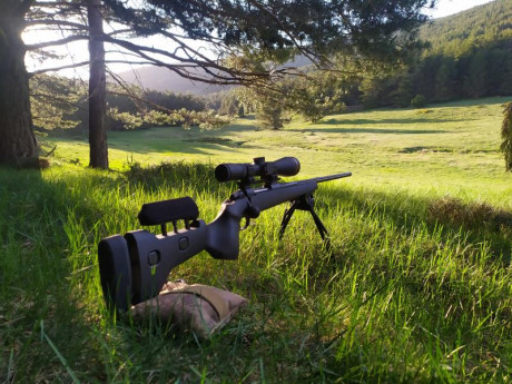 :sniper 80