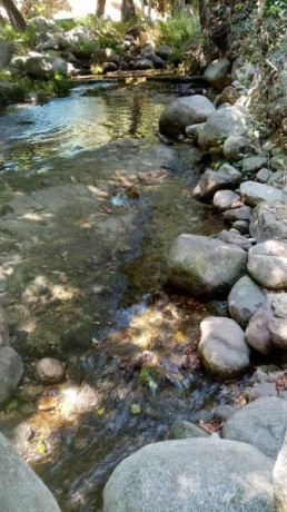 Bueno para entretenerse un rato con el calor que hace, introduzco este tema ya tocado otras veces, a ver 30