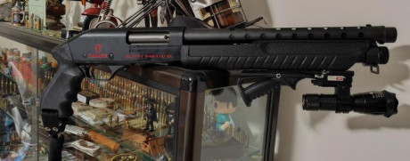 Nueva escopeta Smith Wesson MP12, interesante oferta.

 dWMTjaOYDA  72