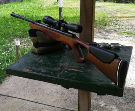 Vendido se puede borrar
 carabina marca Hatsan modelo 65, calibre 6,35.Muy poco uso, como nueva y en perfecto 01