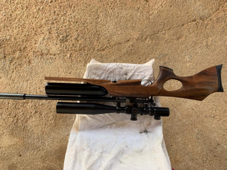 Buenos días.
Acabo de hacerme con una Daystate Air Wolf MCT en calibre 5,5
Tengo dos dudas...
La primera 62