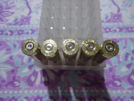 Muy buenas.
Vendo 115 vainas Cineshot by RWS del calibre 8X57JS con 1 tiro, pasadas por Tumbler y en bolsa 01