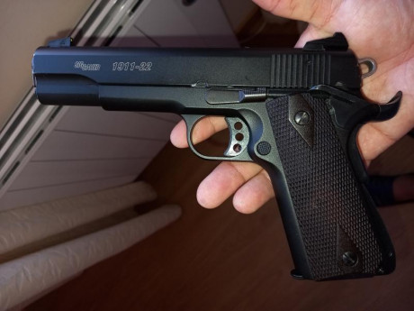 Buenos días,

Vendo preciosa Sig Sauer 1911-22, del 22lr, estado perfecto muy bonita, cachas originales 21