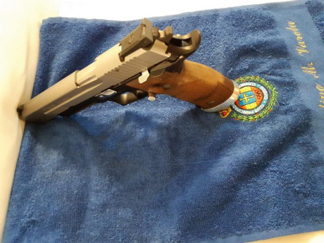 Se vende Sig Sauer  P 226 S  Ligera  De 9 mm
El arma esta impecable tiene poco uso y con municion original
Se 32