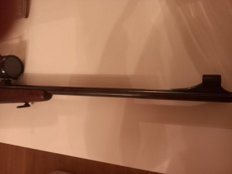 Buenos días,

Vendo preciosa carabina /rifle 22 magnum de cerrojo marca Luger. 

Precioso acabado en maderas 12