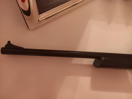 Buenos días,

Vendo magnífica carabina 22lr Remington 597 con regalo de visor Tasco plata totalmente nuevo 01