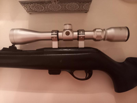 Buenos días,

Vendo magnífica carabina 22lr Remington 597 con regalo de visor Tasco plata totalmente nuevo 00
