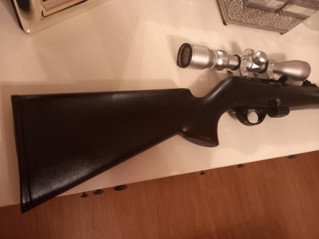 Buenos días,

Vendo magnífica carabina 22lr Remington 597 con regalo de visor Tasco plata totalmente nuevo 12