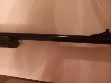 Buenos días,

Vendo magnífica carabina 22lr Remington 597 con regalo de visor Tasco plata totalmente nuevo 10