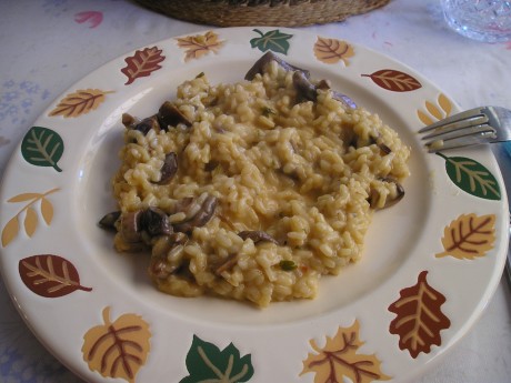 Queridos amigos: ante las expectación :8 causada por el desayuno que me he pegado esta mañana, el cual 52