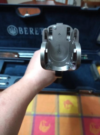 Vendo Beretta DT10 Trident Sporting en muy buen estado,perfecta de ajustes. Tiene cañon de 71cm,maletín,choques 02