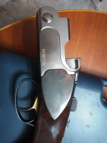 Vendo Beretta DT10 Trident Sporting en muy buen estado,perfecta de ajustes. Tiene cañon de 71cm,maletín,choques 10