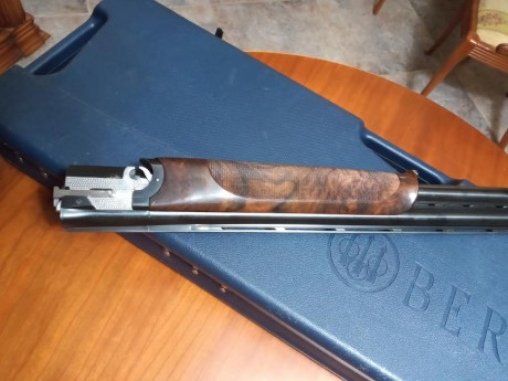 Vendo Beretta DT10 Trident Sporting en muy buen estado,perfecta de ajustes. Tiene cañon de 71cm,maletín,choques 22