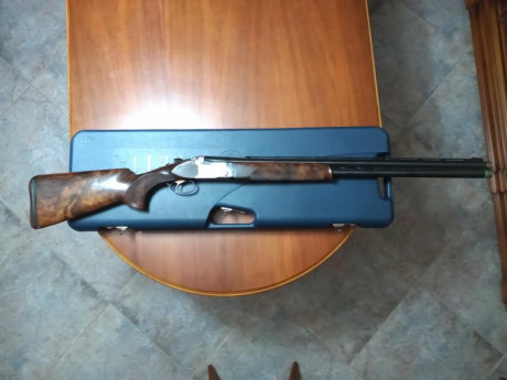 Vendo Beretta DT10 Trident Sporting en muy buen estado,perfecta de ajustes. Tiene cañon de 71cm,maletín,choques 21