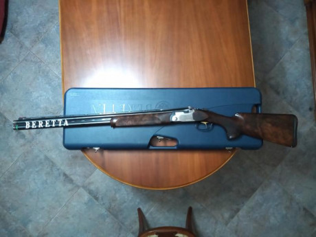 Vendo Beretta DT10 Trident Sporting en muy buen estado,perfecta de ajustes. Tiene cañon de 71cm,maletín,choques 20