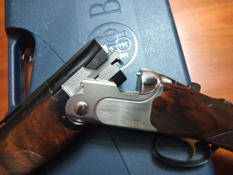 Vendo Beretta DT10 Trident Sporting en muy buen estado,perfecta de ajustes. Tiene cañon de 71cm,maletín,choques 30