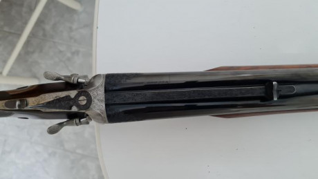  vendo-express-ego-de-lujo-y-pieza-de-coleccion.-calibre-9-3x74-r-ca-ones-723702.jpg Vendo express EGO 50