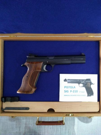 Qué os parecen las nuevas Sig de 6 pulgadas??

He visto que hay 2 modelos y que están en color plata y 71