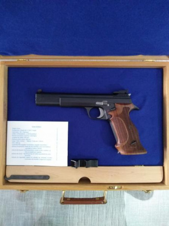 Qué os parecen las nuevas Sig de 6 pulgadas??

He visto que hay 2 modelos y que están en color plata y 70