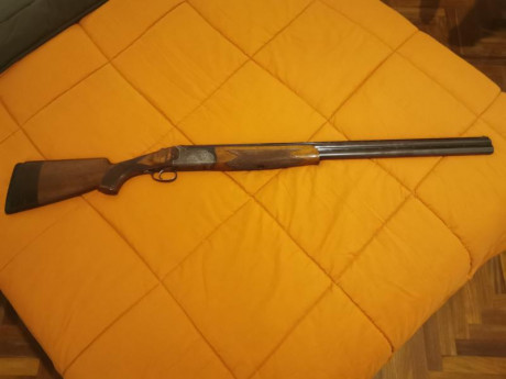 Cambio rifle sako calibre 375 h&h Magnum
Por escopeta de plato o esportin 22