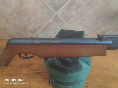 Lo dicho, pongo a la venta una gamo Magnum calibre 5,5 funciona perfectamente y agrupa bastante bien la 20