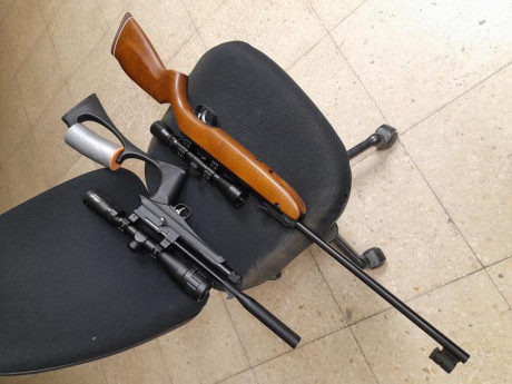 Bueno, para animar el foro un poco, propongo colgar fotos de dianas y arma usada para ello, pudiendo ser 160