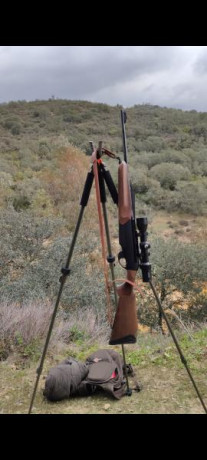 Hola compañeros, 
Quiero comprarme mi primer rifle y estoy mirando estos 2 modelos en calibre 30-06, ya 20