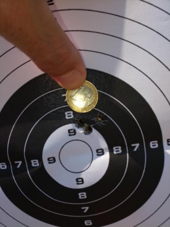 Un tema para hablar todo el verano como mínimo.

¿Qué puesta en tiro llevas en tu rifle de caza, para 30