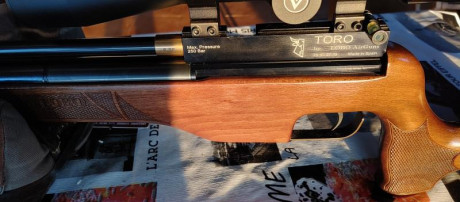 Hola a todos.
Vendo una carabina de balines pcp Lobo Toro en calibre 6.35.
Es muy precisa. Los que conozcan 01