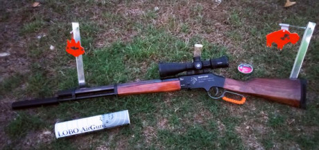 Bueno, para animar el foro un poco, propongo colgar fotos de dianas y arma usada para ello, pudiendo ser 01