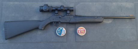 Bueno, para animar el foro un poco, propongo colgar fotos de dianas y arma usada para ello, pudiendo ser 60