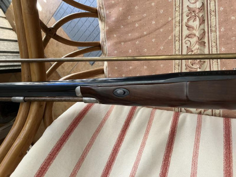 Buenas, vendo escopeta Gallyon de Investarm, muy buen estado y demás arreos para su uso, muchos kilos 30