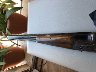 Vendo esta Aya 37 a alguien que sepa apreciar la mejor escopeta fabricada en España de su tiempo. 20