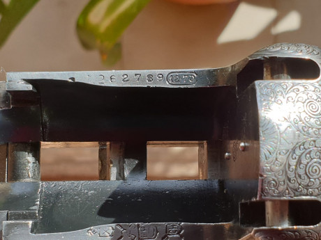 Vendo esta Aya 37 a alguien que sepa apreciar la mejor escopeta fabricada en España de su tiempo. 52