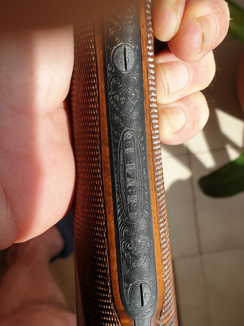 Vendo esta Aya 37 a alguien que sepa apreciar la mejor escopeta fabricada en España de su tiempo. 51