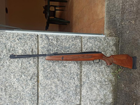 Hola, vendo Hatsan 135 carnívore en calibre 7.62 de resorte, nueva a estrenar, o cambio por Diana 350 01