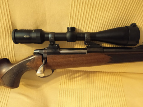 Vendo  sako L691 30-06, con visor Meopta y appel, mas  otro visor bushnell elite 3200 3-9x40 con anillas 01