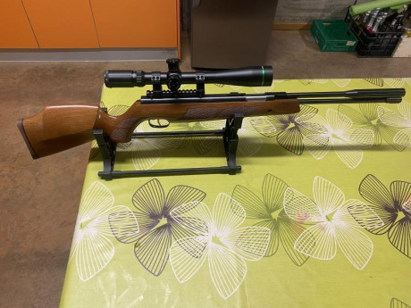 Vendo Weihrauch HW97K cal. 4’5 en perfecto estado.
Pavonado impoluto y la madera esta muy bien, solo tiene 01