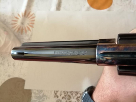   Muy a mi pesar me veo obligado a vender mi Uberti Evil Roy calibre .45Long Colt en Libro de coleccionista, 10