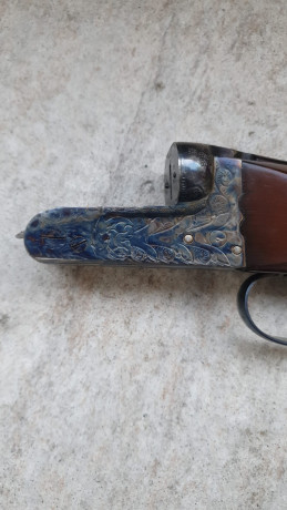 VENDIDA 01