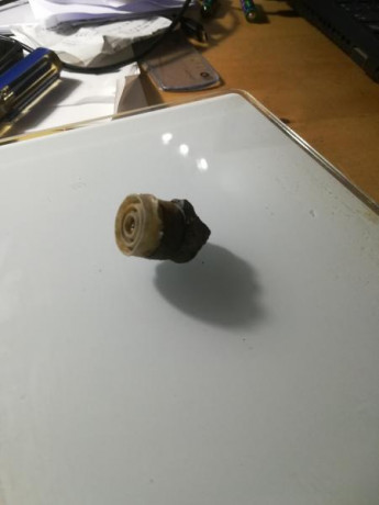 Pues nada, que el otro día estuve probando balas y hoy me ha dado por abrirlas a ver que tenían dentro 161