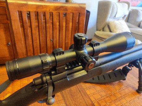 Vendo Bushnell elite tactical en perfecto estado . Medida 6-24-50. En sfp y corrección 1/4 moa.
Precio 00