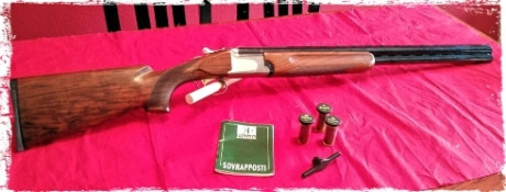 Vendo escopeta FRANCHI Sporting SL en perfecto estado calibre 12.
Cañón Portet (perforado) de 71 cm. Juego 02