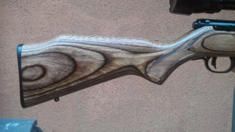 Vendo carabina Savage BRJ en madera laminada, cañón pesado con visor. Se puede ver en Madrid y probar 00