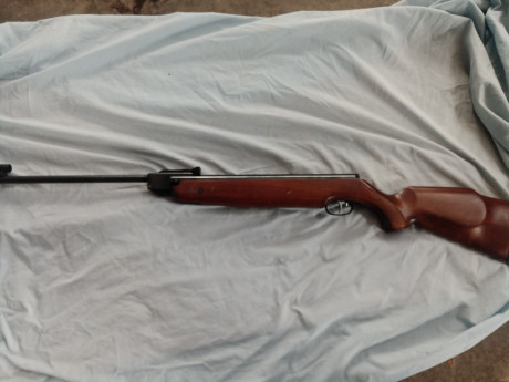 Se vende HW95 con dos cañones, el que lleva de 6.35 y otro de hw80 de calibre 5.

El precio del conjunto 02